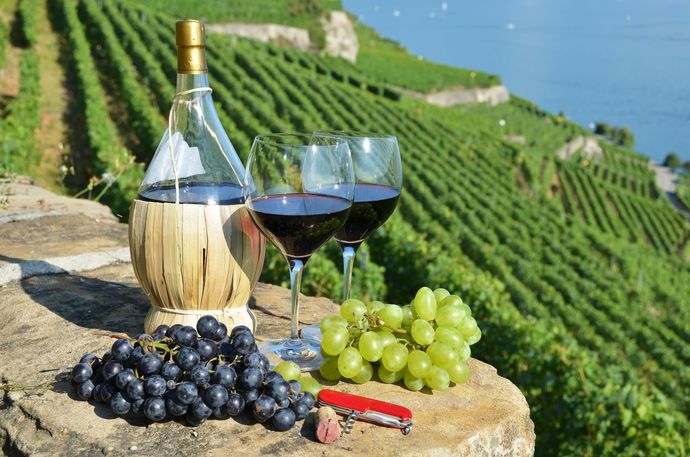 Which of these tasting adventures sounds the best?