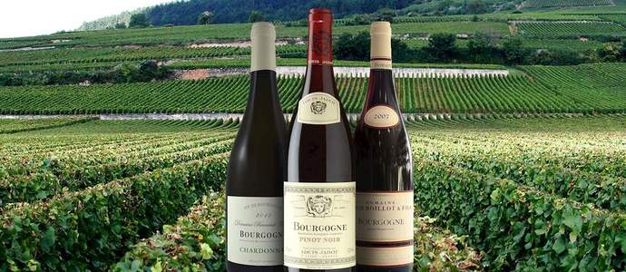 Which of these tasting adventures sounds the best?