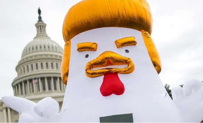 Will Chicken Trump successfully get out of debating future President Harris?