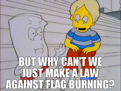 What in your opinion should be the consequences of someone burning your countries flag?