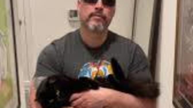 I'm a childless cat man. Am I doing it right?