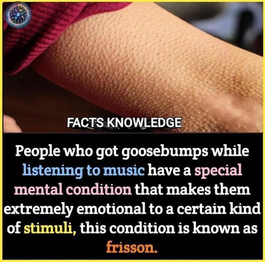 When was the last time you felt frisson?