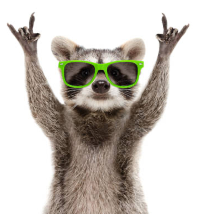 You Rock!