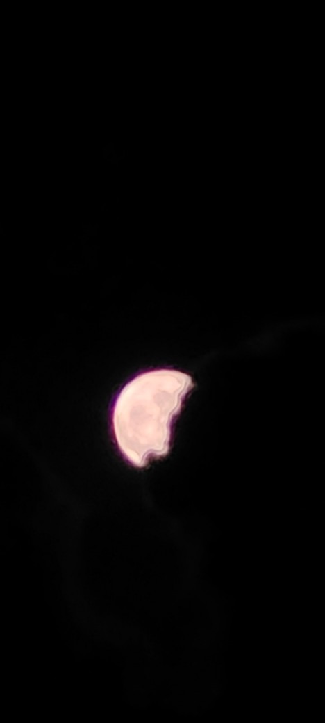 What do you think of my photography?