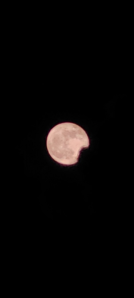 What do you think of my photography?