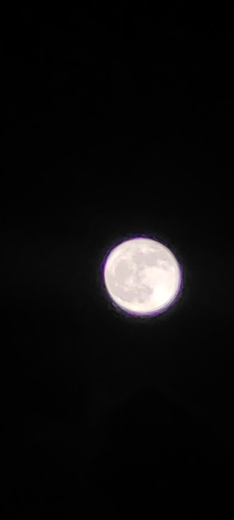 What do you think of my photography?