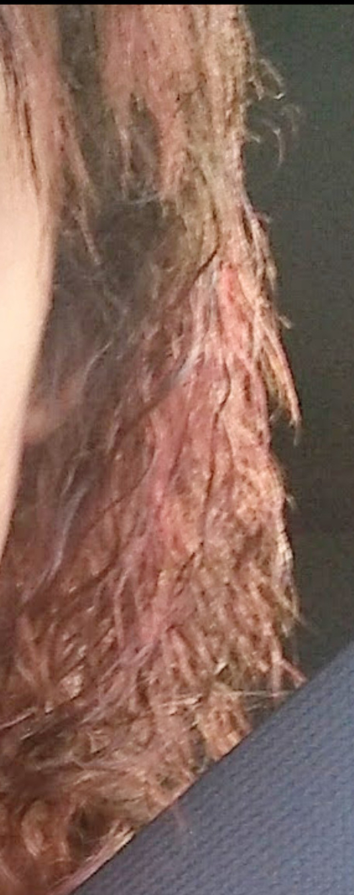 dyed hair