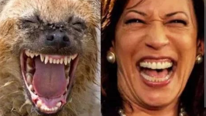 After the Biden disaster, do you think it is possible that Democrats could actually trick voters with yet another incompetent presidential candidate?