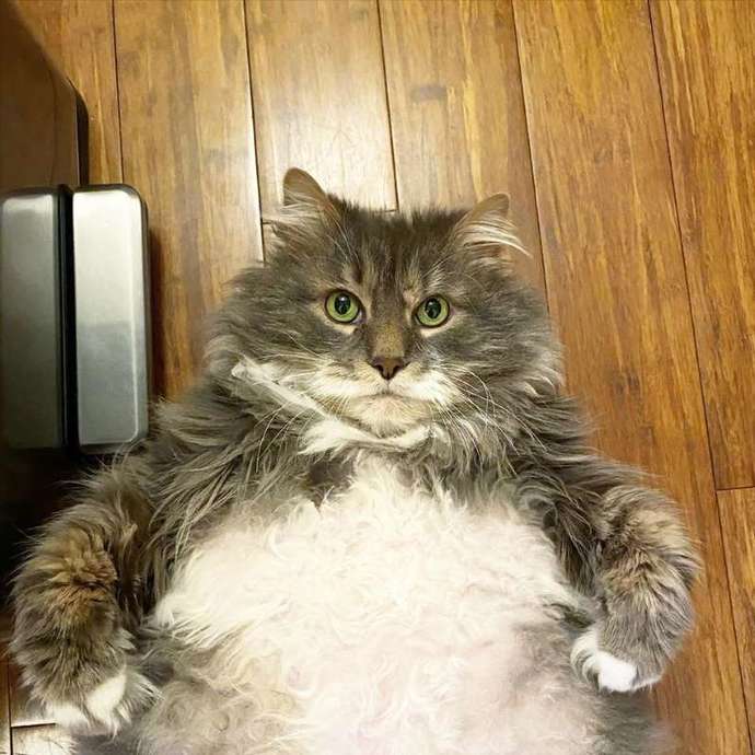 Crap! I wish they would fill up my water dish.