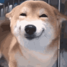 On a scale of 1 to 10, how important is having a similar sense of humor to you in a relationship?