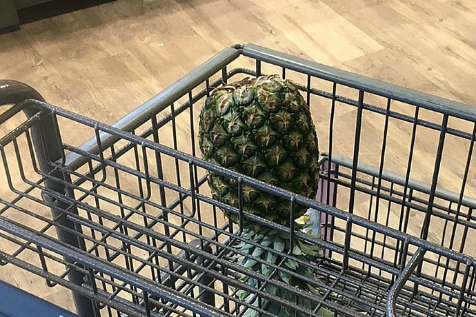 Would you push a pineapple around a supermarket to find a date?