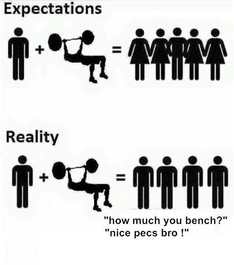 What body feature or muscle group attracts the opposite gender the most?