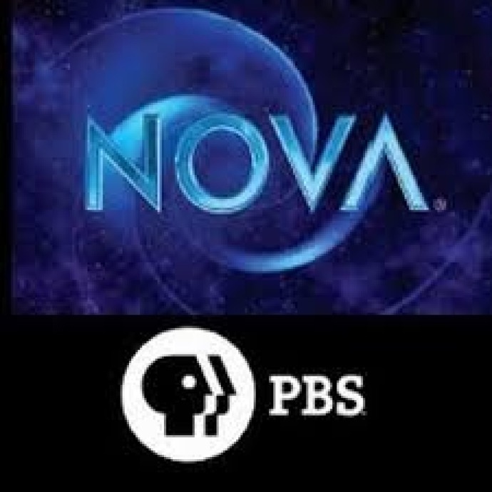 Favorite genre of TV show?