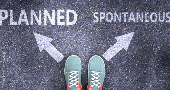 Do you like to make plans ahead of time, or do things more spontaneously?