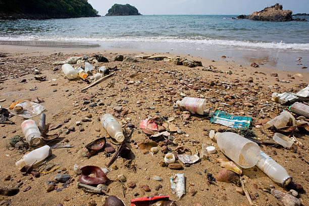 Would you rather live in a glass house, or in a hut on a plastic beach?