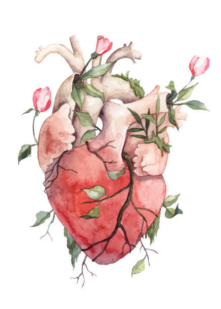 Which do you find more comforting, listening to your partners heartbeat or feeling their breath on the back of your neck?