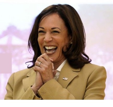 Kamala Harris will win election, predicts Polling Nostradamus.’ How does this make you feel?