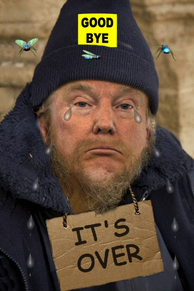 Trump's literally begging for votes, how proud are you of your man-child dictator?