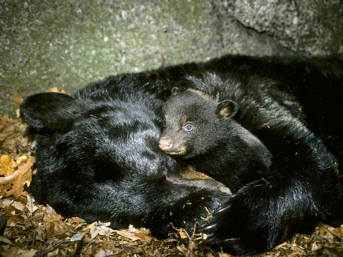 Do you move around a lot when you sleep?