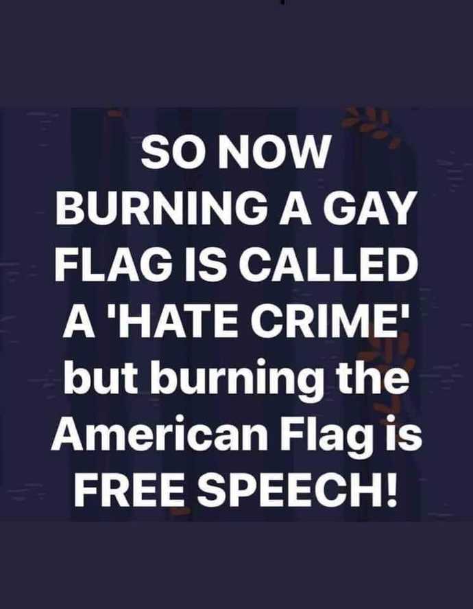 Neighbor hung up a half American half rainbow flag in my neighborhood?