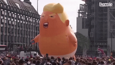When Trump loses the election, what are we gonna do with all the trump-supporting minions that will still be roaming free in our society?