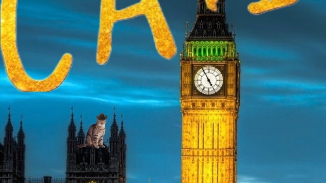 Would the Cats 2019 movie be a lot better if they employed cats instead of people?