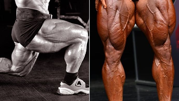 Are women attracted to muscular legs?