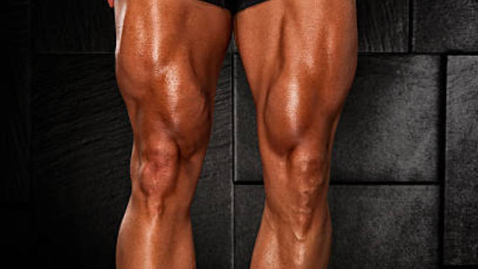 Are women attracted to muscular legs?