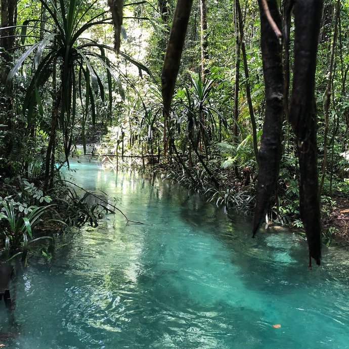 Which nature image do you like better ?