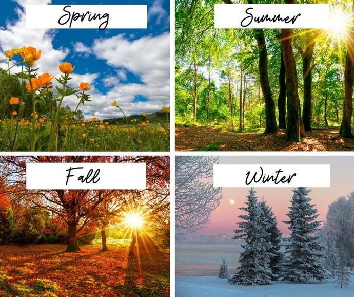 Do you have a favorite season?