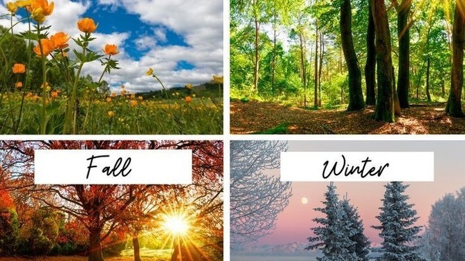 Do you have a favorite season?