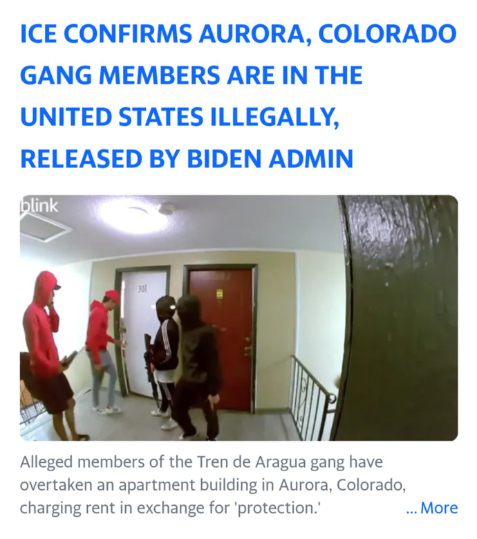 Armed gangs of illegals raiding and taking over US stores and homes. Ordinary crime or the early stages of unprecedented terrorism within our borders?