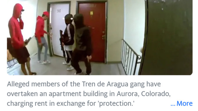 Armed gangs of illegals raiding and taking over US stores and homes. Ordinary crime or the early stages of unprecedented terrorism within our borders?