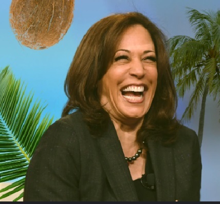 Harris beat Trump in the debate and Taylor Swift just endorsed Kamala. How do you feel?