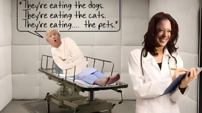 What's going on with Trump's and Vance's weird obsession with pets?