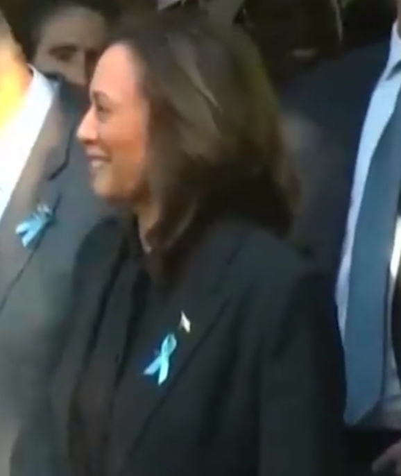 Why is Kamala Harris the only one smiling at the 9/11 memorial?
