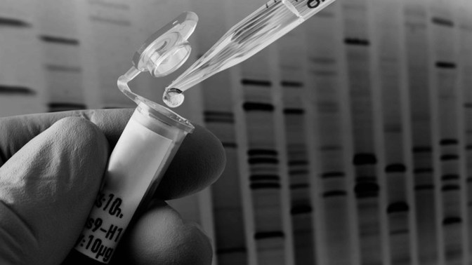 What would you genetically change about humans to make them a better species?