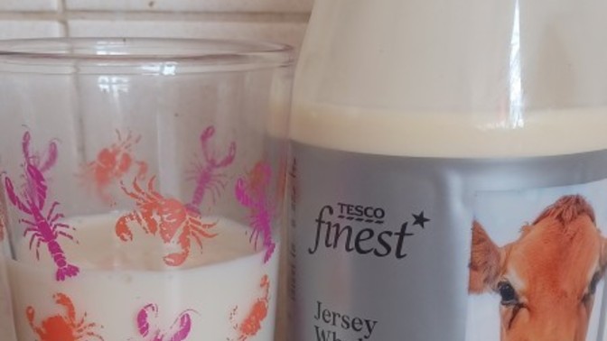 Have you had milk from Jersey cows?