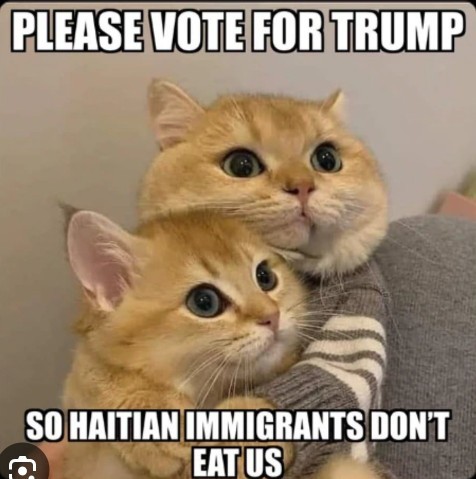 Trump wants to send Hatians - to where?