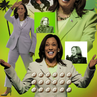 If Kamala Harris didnt unite the country in 2021-2024 why would you believe her when she says she will do it in 2025-2029?