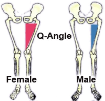 What is it about our legs that so many men find attractive?