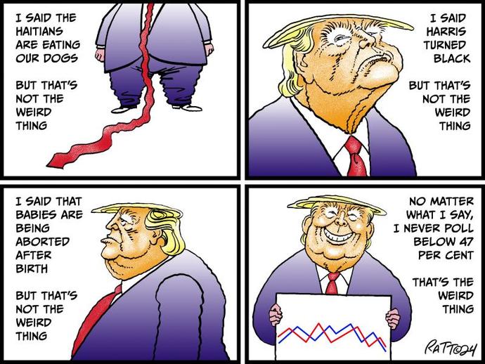 What made Trump lose the election?