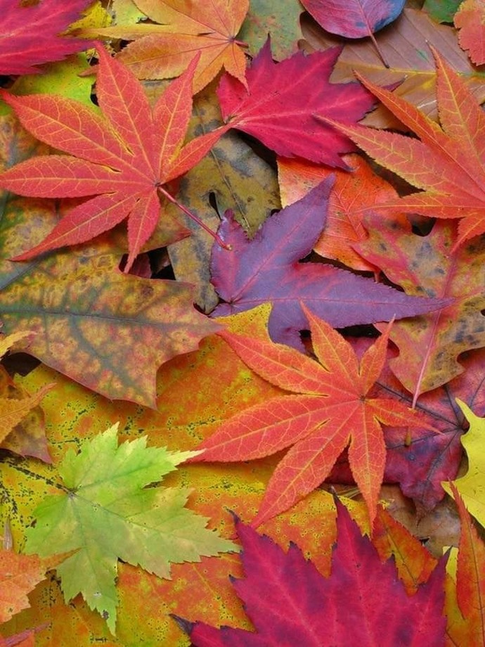 If fall had a flavor that wasnt pumpkin spice, what do you think itd be?