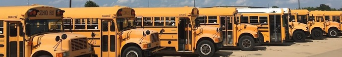 Did you hate riding the bus?