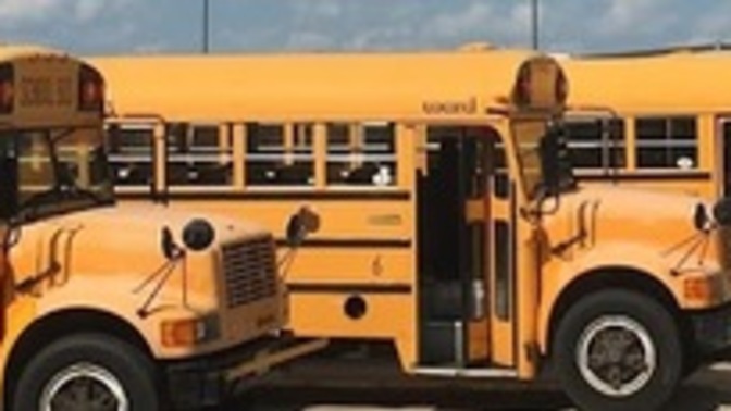 Did you hate riding the bus?