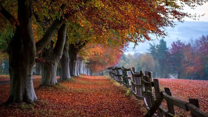 What do you like about autumn?