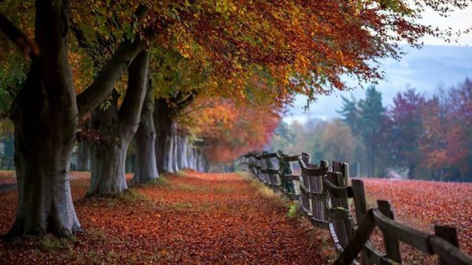 What do you like about autumn?