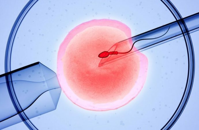 Trump went on and on about being a leader of IVF…where is his outrage at the senate republicans again voting down a IVF Protection bill today?