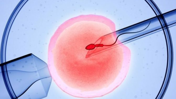 Trump went on and on about being a leader of IVF…where is his outrage at the senate republicans again voting down a IVF Protection bill today?