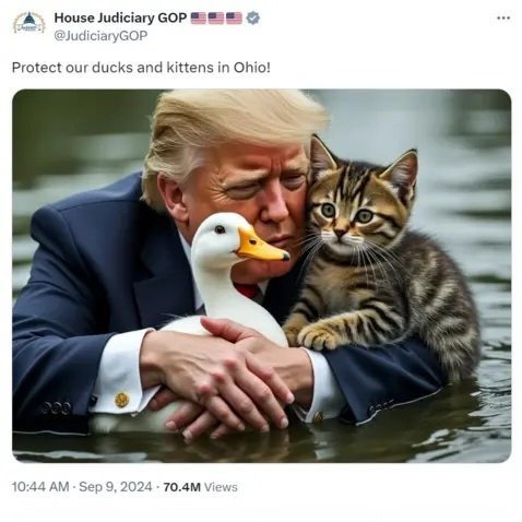 What the hell is going on in america with people eating cats?